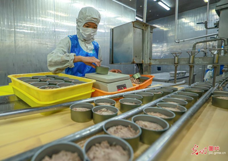 食品加工行业的发展与趋势:代加工模式引领新风尚