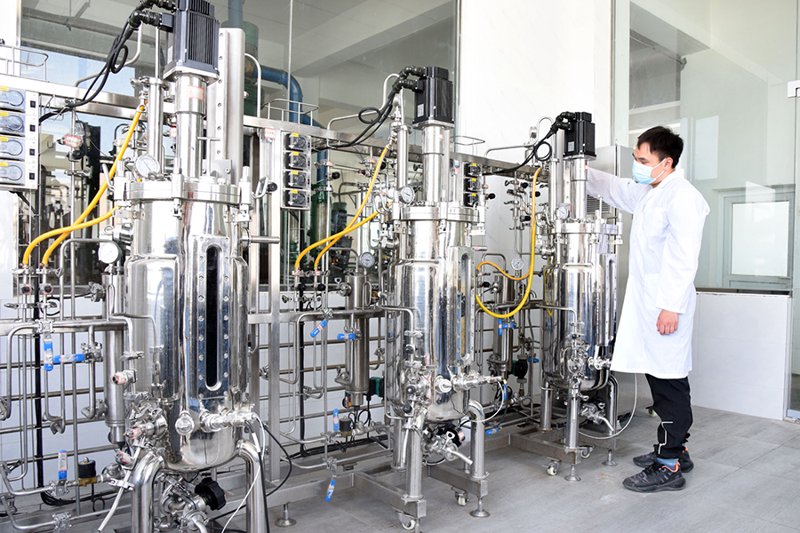 探寻美味之源:肉制品加工行业的行业动态