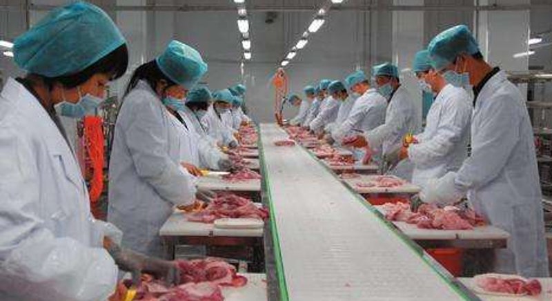 速冻食品生产:一场科技与美味的对话